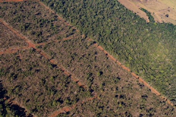 15:37 - 
							Sema embarga 1,86 milhão de hectares por crimes ambientais de 2019 a 2024