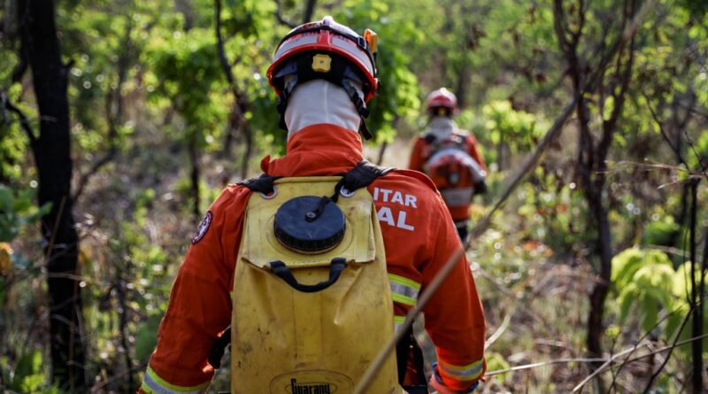 Corpo de Bombeiros combate 25 incêndios florestais em Mato Grosso neste sábado (24)