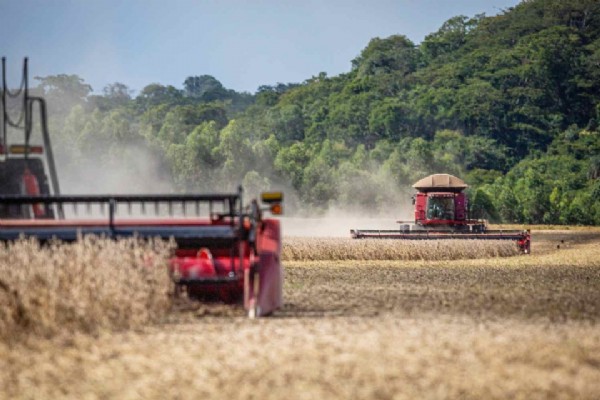 18:11 - 
							Após carta de Fávaro e pressão do Brasil, União Europeia adia aplicação da Lei Antidesmatamento que ameaçava agronegócio