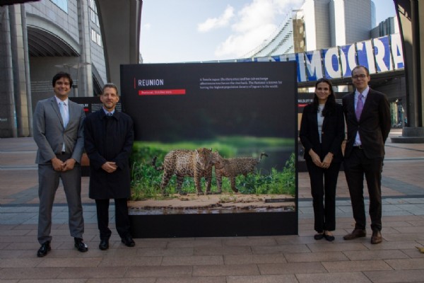 11:57 - 
							'Pantanal: nossa herança e nosso legado': exposição leva registros pantaneiros para o Parlamento Europeu