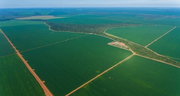 15:35 - 
							Mato Grosso tem cinco fazendas entre as mais valiosas do Brasil em 2024