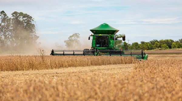 17:01 - 
							Puxado pelo setor agropecuário, Mato Grosso será segundo estado do país com maior crescimento do PIB