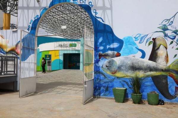 11:50 - 
							Michelly Alencar cobra esclarecimentos da prefeitura sobre possível calote a trabalhadores da obra do Aquário Municipal