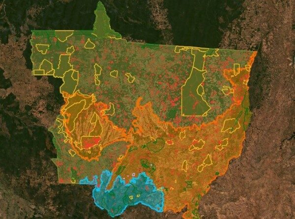 12:10 - 
							Área queimada em Mato Grosso atinge menor índice desde 2019, mas 86% dos focos foram ilegais