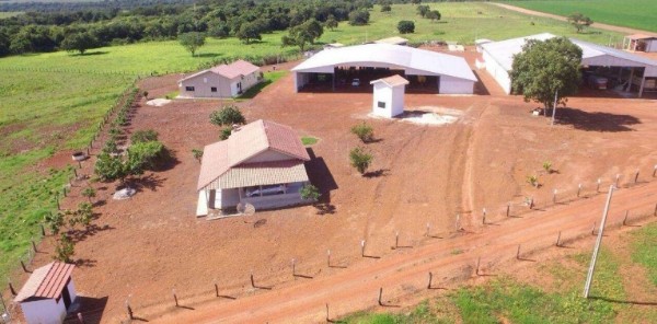 14:21 - 
							Em crise há cinco anos, casal do agro entra em RJ para renegociar R$ 37 milhões em dívidas