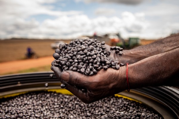 16:54 - 
							Sedec busca soluções inovadoras para o setor de sementes em missão técnica internacional