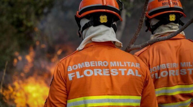 Bombeiros militares combatem incêndio em vegetação às margens da BR-364
