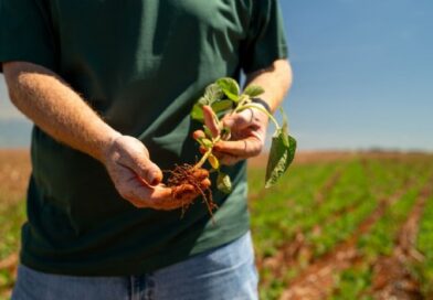 10:53 - 
							Plantio de soja se estende e irregularidade das chuvas preocupa produtores em todo o Mato Grosso