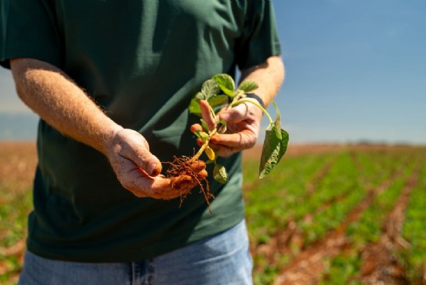 10:53 - 
							Plantio de soja se estende e irregularidade das chuvas preocupa produtores em todo o Mato Grosso