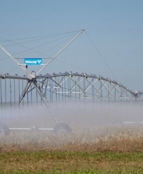 Irrigantes de MT temem inviabilidade de safras após mudanças na MP 1300 sobre desconto de energia :: Notícias do Agronegócio
