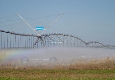 Irrigantes de MT temem inviabilidade de safras após mudanças na MP 1300 sobre desconto de energia :: Notícias do Agronegócio