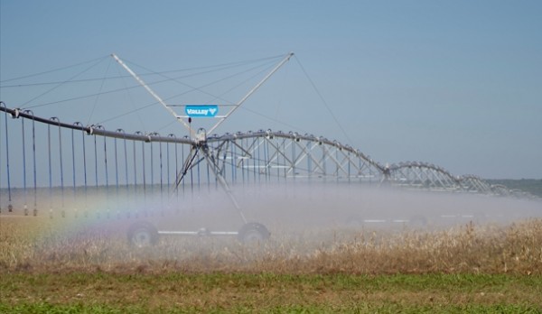 Irrigantes de MT temem inviabilidade de safras após mudanças na MP 1300 sobre desconto de energia :: Notícias do Agronegócio