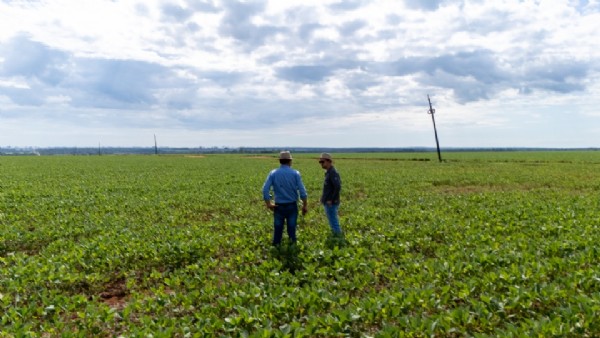 12:07 - 
							Estiagem histórica atrasa lavoura, força replantio e eleva custos na região médio-norte de MT