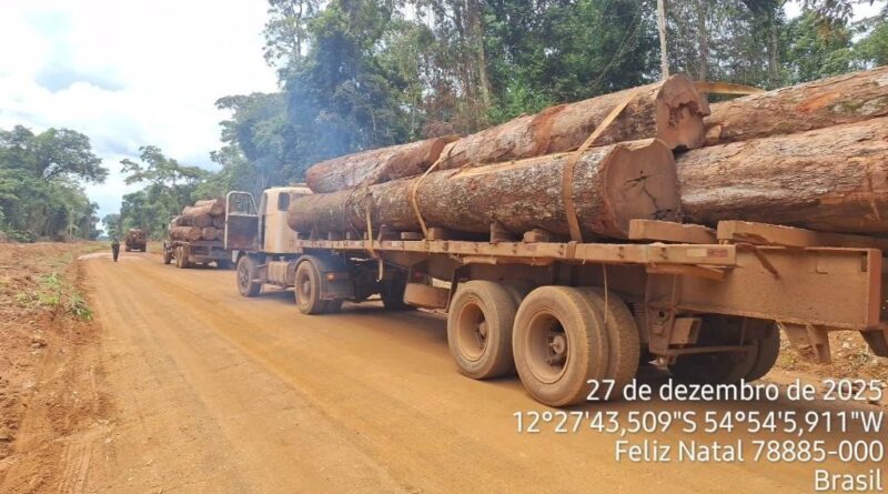 Polícia Militar apreende mais de 100m³ de madeira ilegal em Feliz Natal