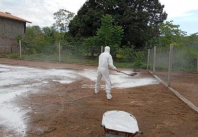 10:43 - 
							Indea encerra ações de combate a foco de gripe aviária em propriedade rural com aves domésticas