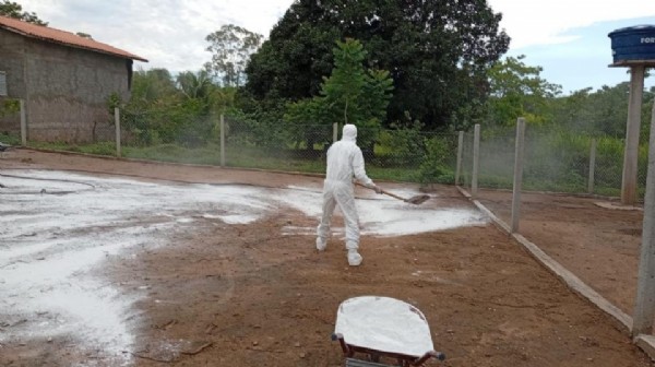 10:43 - 
							Indea encerra ações de combate a foco de gripe aviária em propriedade rural com aves domésticas