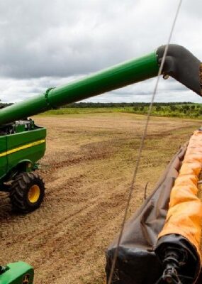 18:07 - 
							Mato Grosso coloca 12 cidades entre os 100 maiores exportadores do Brasil