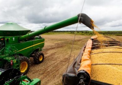 18:07 - 
							Mato Grosso coloca 12 cidades entre os 100 maiores exportadores do Brasil