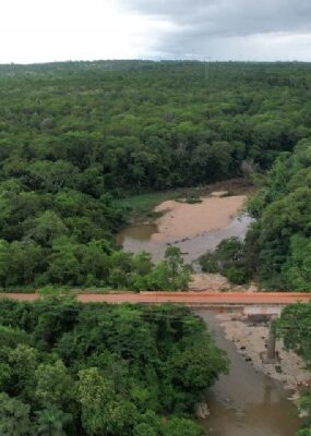 14:35 - 
							Deputado diz que estudos de viabilidade para implantação da MT-030 devem ser apresentados em breve