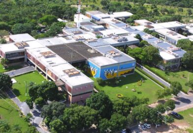 Mato Grosso consolida estratégia de diversificação internacional com abertura de 15 novos mercados