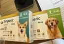 18:23 - 
							Polícia Civil apura uso de medicamentos vencidos em clínica veterinária em Lucas do Rio Verde